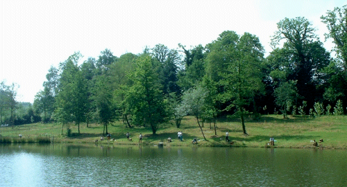 L'�tang de Nadine et Georges MACARY� pour du concours de p�che � Conc�ze. Etang priv� de 1 ha pour la p�che situ� a moins d'un km du g�te de Leycuras