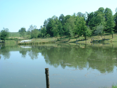 L'�tang de Nadine et Georges MACARY� pour du concours de p�che � Conc�ze. Etang priv� de 1 ha pour la p�che situ� a moins d'un km du g�te de Leycuras
