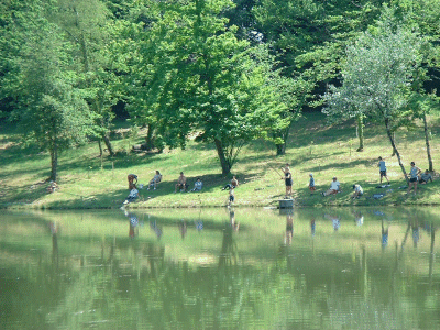 L'�tang de Nadine et Georges MACARY� pour du concours de p�che � Conc�ze. Etang priv� de 1 ha pour la p�che situ� a moins d'un km du g�te de Leycuras