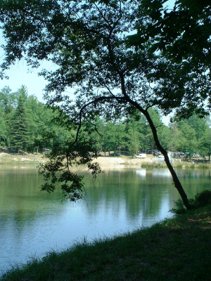 L'�tang de Nadine et Georges MACARY� pour du concours de p�che � Conc�ze. Etang priv� de 1 ha pour la p�che situ� a moins d'un km du g�te de Leycuras