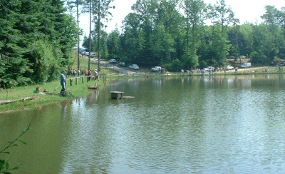 L'�tang de Nadine et Georges MACARY� pour du concours de p�che � Conc�ze. Etang priv� de 1 ha pour la p�che situ� a moins d'un km du g�te de Leycuras